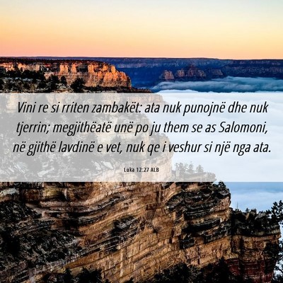 Picture 06 - Luka 12:27 ALB - Vini re si rriten zambakët: ata nuk punojnë dhe - Bible Verse Picture