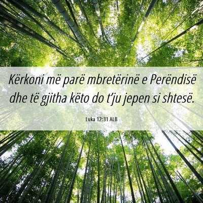 Picture 06 - Luka 12:31 ALB - Kërkoni më parë mbretërinë e Perëndisë dhe - Bible Verse Picture