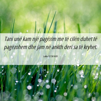 Picture 06 - Luka 12:50 ALB - Tani unë kam një pagëzim me të cilën duhet - Bible Verse Picture