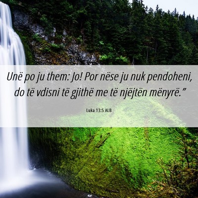 Picture 06 - Luka 13:5 ALB - Unë po ju them: Jo! Por nëse ju nuk pendoheni, - Bible Verse Picture