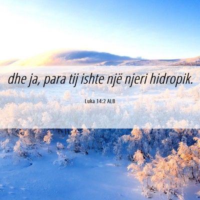 Picture 06 - Luka 14:2 ALB - dhe ja, para tij ishte një njeri - Bible Verse Picture