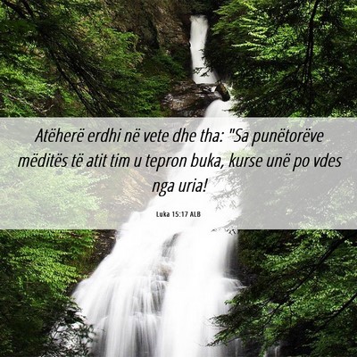 Picture 06 - Luka 15:17 ALB - Atëherë erdhi në vete dhe tha: 