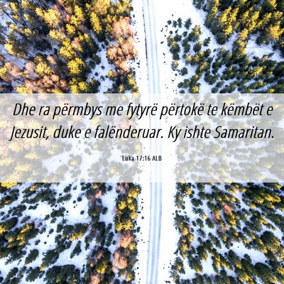 Picture 06 - Luka 17:16 ALB - Dhe ra përmbys me fytyrë përtokë te këmbët - Bible Verse Picture