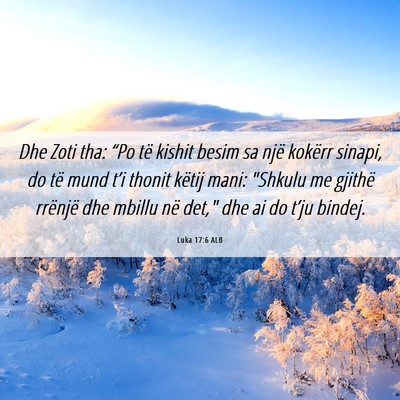 Picture 06 - Luka 17:6 ALB - Dhe Zoti tha: “Po të kishit besim sa një - Bible Verse Picture