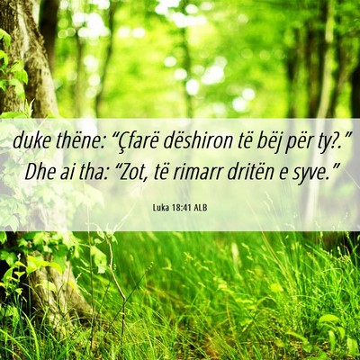 Picture 06 - Luka 18:41 ALB - duke thëne: “Çfarë dëshiron të bëj për - Bible Verse Picture