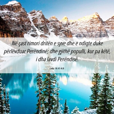 Picture 06 - Luka 18:43 ALB - Në çast rimori dritën e syve dhe e ndiqte duke - Bible Verse Picture