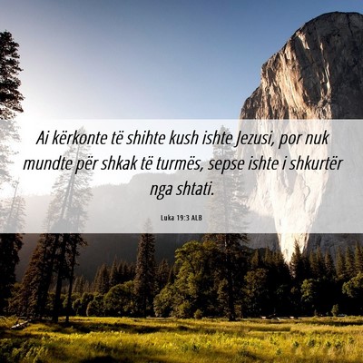 Picture 06 - Luka 19:3 ALB - Ai kërkonte të shihte kush ishte Jezusi, por - Bible Verse Picture