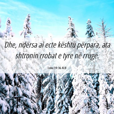 Picture 06 - Luka 19:36 ALB - Dhe, ndërsa ai ecte kështu përpara, ata - Bible Verse Picture