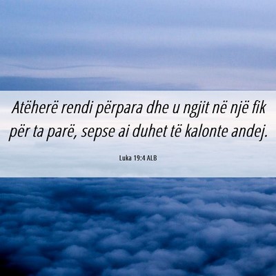 Picture 06 - Luka 19:4 ALB - Atëherë rendi përpara dhe u ngjit në një fik - Bible Verse Picture
