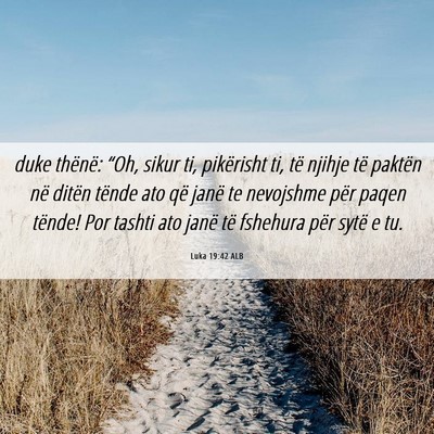 Picture 06 - Luka 19:42 ALB - duke thënë: “Oh, sikur ti, pikërisht ti, të - Bible Verse Picture