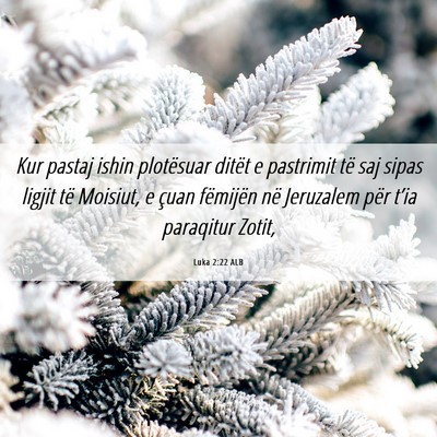 Picture 06 - Luka 2:22 ALB - Kur pastaj ishin plotësuar ditët e pastrimit - Bible Verse Picture