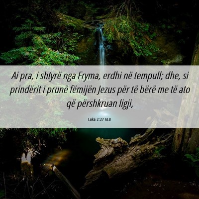 Picture 06 - Luka 2:27 ALB - Ai pra, i shtyrë nga Fryma, erdhi në tempull; - Bible Verse Picture