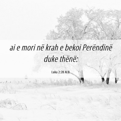 Picture 06 - Luka 2:28 ALB - ai e mori në krah e bekoi Perëndinë duke - Bible Verse Picture