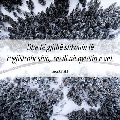 Picture 06 - Luka 2:3 ALB - Dhe të gjithë shkonin të regjistroheshin, - Bible Verse Picture