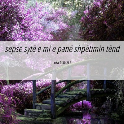 Picture 06 - Luka 2:30 ALB - sepse sytë e mi e panë shpëtimin - Bible Verse Picture