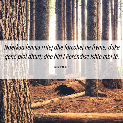 Picture 06 - Luka 2:40 ALB - Ndërkaq fëmija rritej dhe forcohej në frymë, - Bible Verse Picture