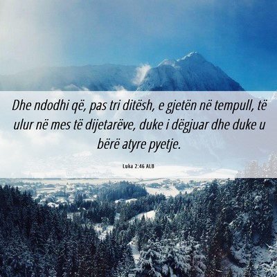 Picture 06 - Luka 2:46 ALB - Dhe ndodhi që, pas tri ditësh, e gjetën në - Bible Verse Picture