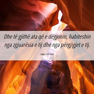 Picture 06 - Luka 2:47 ALB - Dhe të gjithë ata që e dëgjonin, habiteshin - Bible Verse Picture