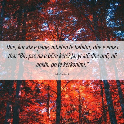 Picture 06 - Luka 2:48 ALB - Dhe, kur ata e panë, mbetën të habitur, dhe e - Bible Verse Picture