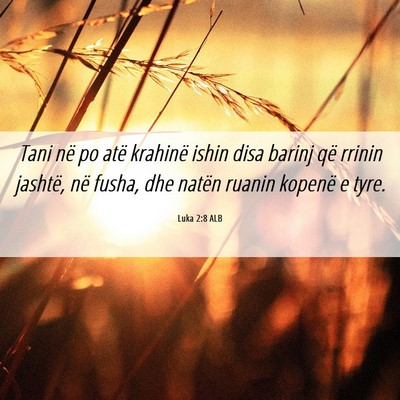 Picture 06 - Luka 2:8 ALB - Tani në po atë krahinë ishin disa barinj që - Bible Verse Picture