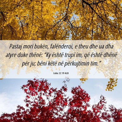 Picture 06 - Luka 22:19 ALB - Pastaj mori bukën, falënderoi, e theu dhe ua - Bible Verse Picture