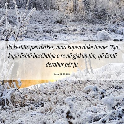 Picture 06 - Luka 22:20 ALB - Po kështu, pas darkës, mori kupën duke - Bible Verse Picture