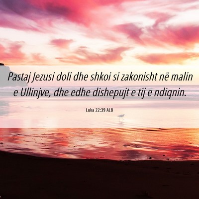 Picture 06 - Luka 22:39 ALB - Pastaj Jezusi doli dhe shkoi si zakonisht në - Bible Verse Picture