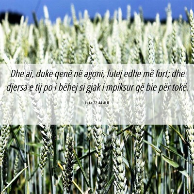 Picture 06 - Luka 22:44 ALB - Dhe ai, duke qenë në agoni, lutej edhe më - Bible Verse Picture