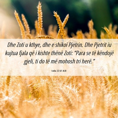 Picture 06 - Luka 22:61 ALB - Dhe Zoti u kthye, dhe e shikoi Pjetrin. Dhe - Bible Verse Picture