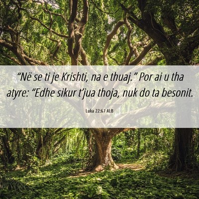 Picture 06 - Luka 22:67 ALB - “Në se ti je Krishti, na e thuaj.” Por ai u - Bible Verse Picture