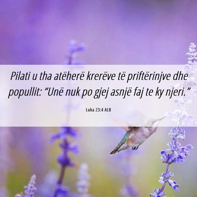 Picture 06 - Luka 23:4 ALB - Pilati u tha atëherë krerëve të priftërinjve - Bible Verse Picture