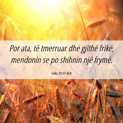 Picture 06 - Luka 24:37 ALB - Por ata, të tmerruar dhe gjithë frikë, - Bible Verse Picture