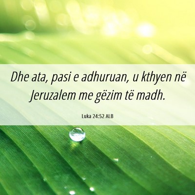Picture 06 - Luka 24:52 ALB - Dhe ata, pasi e adhuruan, u kthyen në Jeruzalem - Bible Verse Picture