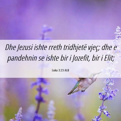 Picture 06 - Luka 3:23 ALB - Dhe Jezusi ishte rreth tridhjetë vjeç; dhe e - Bible Verse Picture