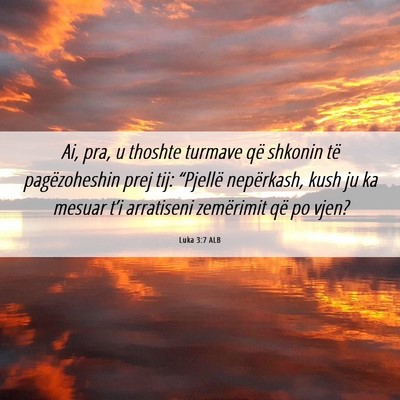 Picture 06 - Luka 3:7 ALB - Ai, pra, u thoshte turmave që shkonin të - Bible Verse Picture