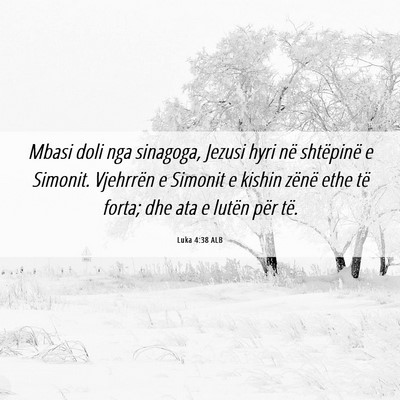 Picture 06 - Luka 4:38 ALB - Mbasi doli nga sinagoga, Jezusi hyri në - Bible Verse Picture