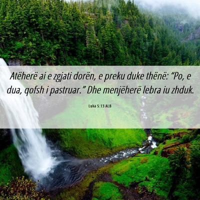 Picture 06 - Luka 5:13 ALB - Atëherë ai e zgjati dorën, e preku duke - Bible Verse Picture