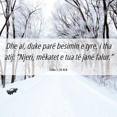 Picture 06 - Luka 5:20 ALB - Dhe ai, duke parë besimin e tyre, i tha atij: - Bible Verse Picture