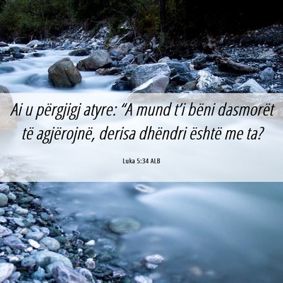 Picture 06 - Luka 5:34 ALB - Ai u përgjigj atyre: “A mund t’i bëni - Bible Verse Picture