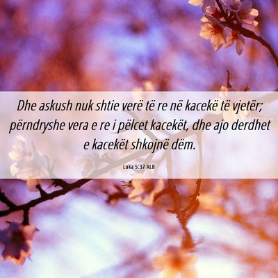 Picture 06 - Luka 5:37 ALB - Dhe askush nuk shtie verë të re në kacekë të - Bible Verse Picture