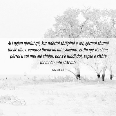 Picture 06 - Luka 6:48 ALB - Ai i ngjan njeriut që, kur ndërtoi shtëpinë e - Bible Verse Picture