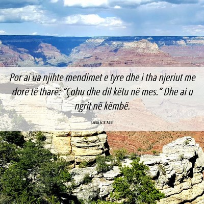Picture 06 - Luka 6:8 ALB - Por ai ua njihte mendimet e tyre dhe i tha - Bible Verse Picture
