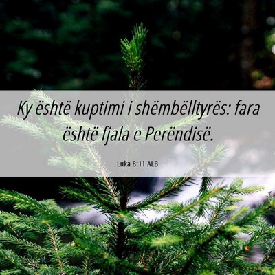 Picture 06 - Luka 8:11 ALB - Ky është kuptimi i shëmbëlltyrës: fara - Bible Verse Picture