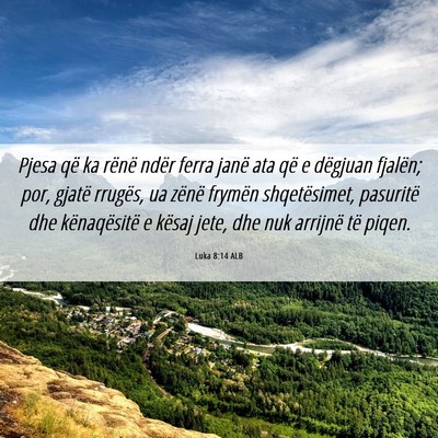 Picture 06 - Luka 8:14 ALB - Pjesa që ka rënë ndër ferra janë ata që e - Bible Verse Picture