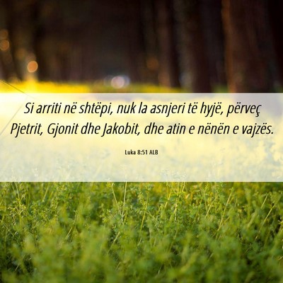 Picture 06 - Luka 8:51 ALB - Si arriti në shtëpi, nuk la asnjeri të hyjë, - Bible Verse Picture