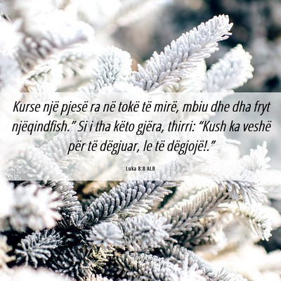 Picture 06 - Luka 8:8 ALB - Kurse një pjesë ra në tokë të mirë, mbiu - Bible Verse Picture