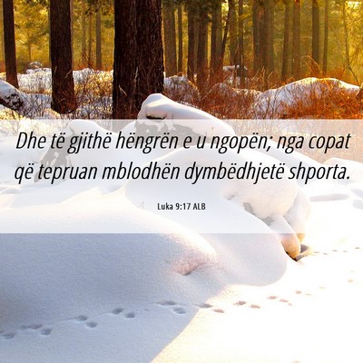 Picture 06 - Luka 9:17 ALB - Dhe të gjithë hëngrën e u ngopën; nga copat - Bible Verse Picture