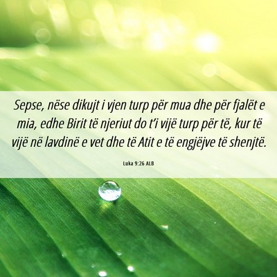 Picture 06 - Luka 9:26 ALB - Sepse, nëse dikujt i vjen turp për mua dhe për - Bible Verse Picture