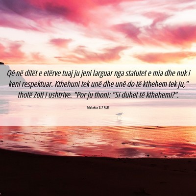 Picture 06 - Malakia 3:7 ALB - Që në ditët e etërve tuaj ju jeni larguar nga - Bible Verse Picture