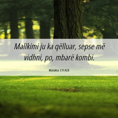 Picture 06 - Malakia 3:9 ALB - Mallkimi ju ka qëlluar, sepse më vidhni, po, - Bible Verse Picture